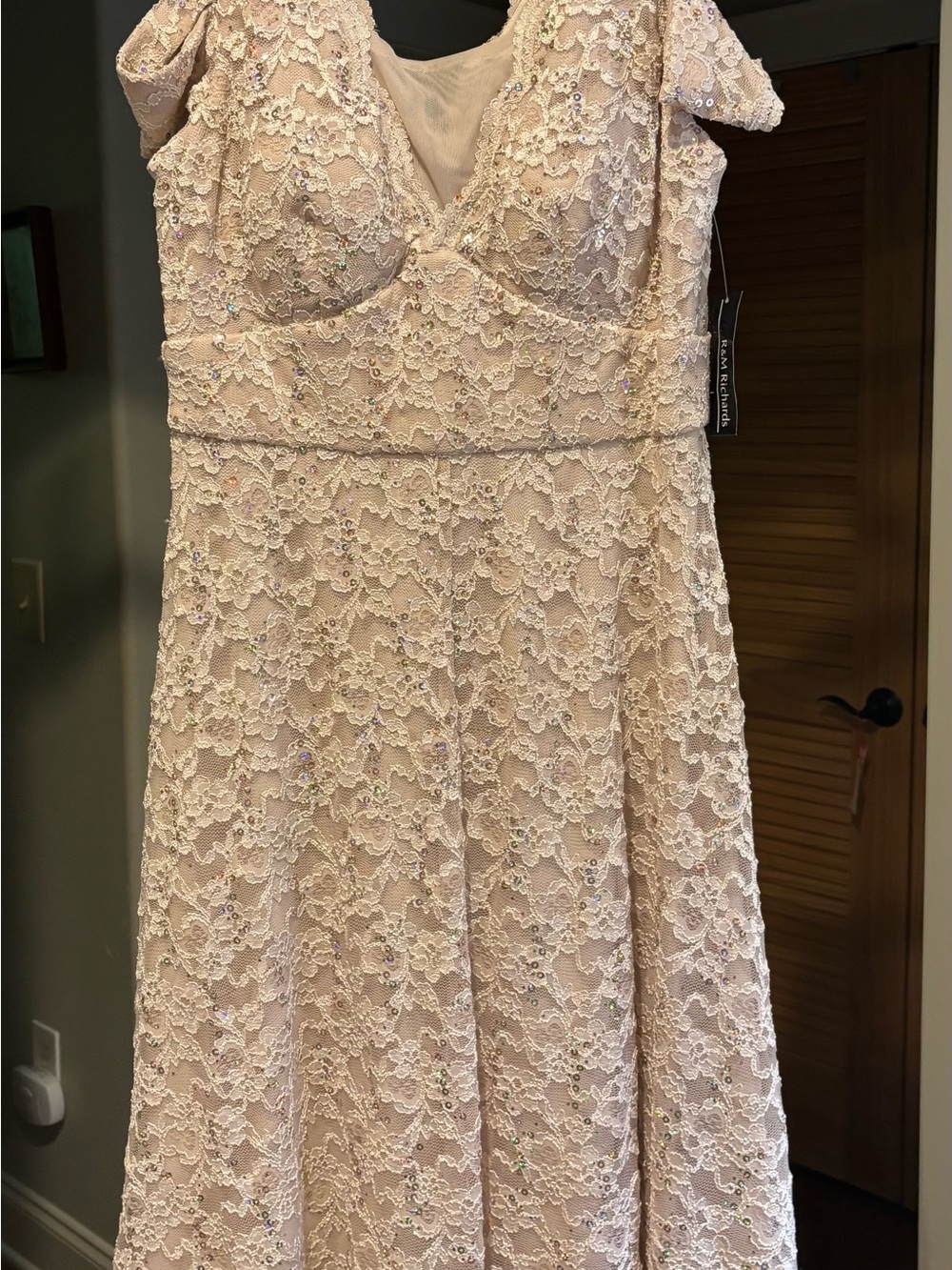R&M Richards Blush Lace Midi Dress with Sequin Accents